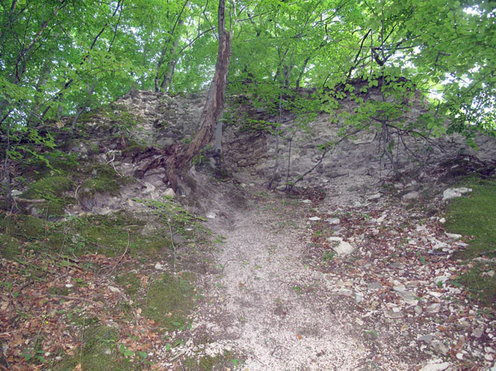 Ostaci ostataka srednjovjekovnog grada